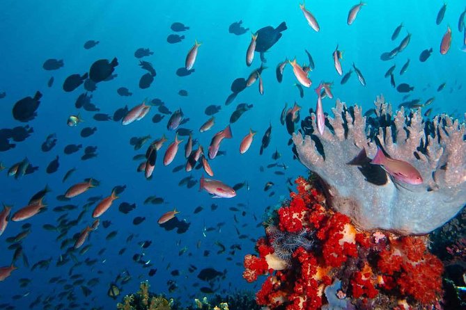 Private Tour 4 Days 3 Nights Komodo on Boat, Waterfall and Rangko Cave - Islands to Visit