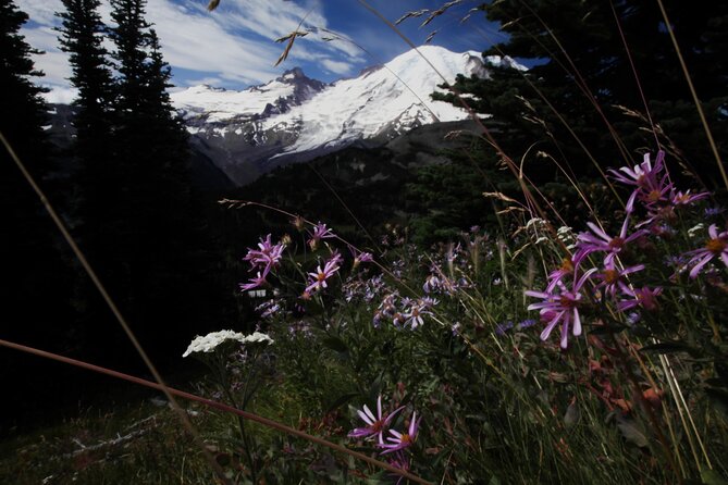 Private Tour at Mt Rainier in Seattle - Booking Information