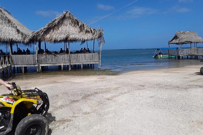 Private Tour: Chocolate Factory Rum Cake Factory, Sightseeing and Beach Tour - Customer Reviews