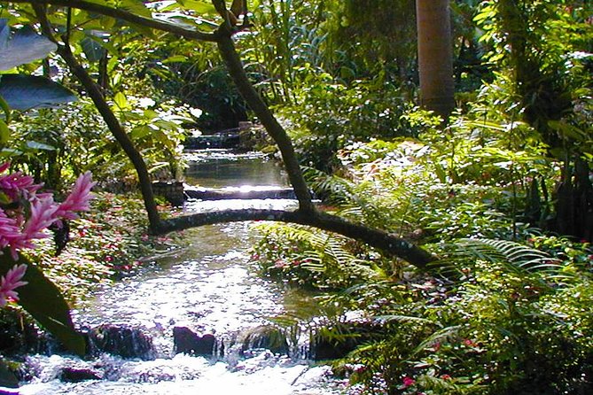 Private Tour From Ocho Rios To Konoko Falls And Garden and Shopping - Transportation and Vehicle