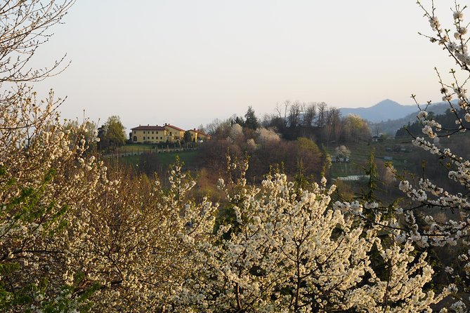 Private Tour From Turin: Full Day Langhe Region With Its Colors and Flavors - Itinerary Details