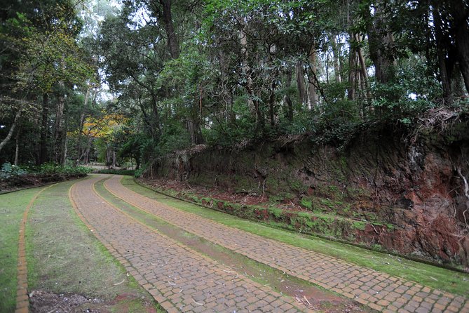Private Tour Halfday Mini-Zoo Santo Da Serra Park - Cancellation Policy