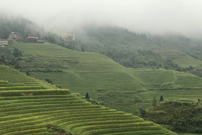 Private Tour: Longsheng Culture and Longji Rice Terraces - Itinerary Highlights