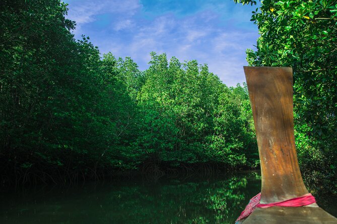 Private Tour Magic Mangrove Paddle in Beef Island Lagoon - Pricing and Inclusions