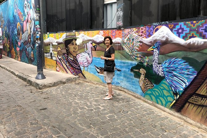 PRIVATE TOUR: Pre-Post Cruise Viña Del Mar Valparaiso and Casablanca Winery TOUR - Inclusions and Exclusions