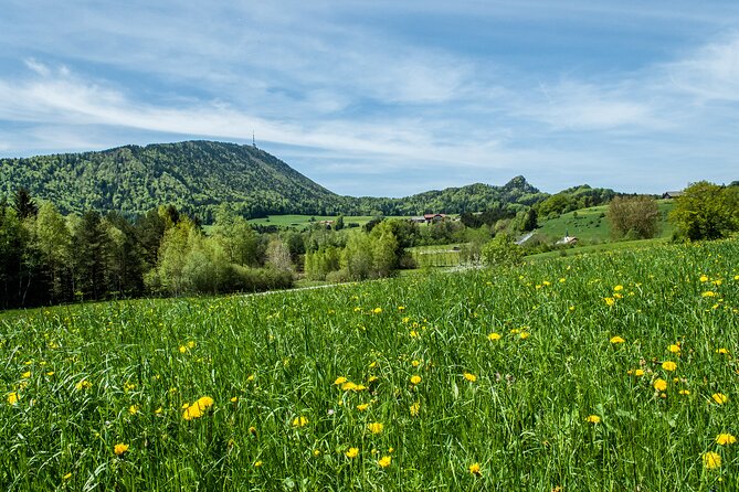 Private Tour to Salzburg for River Cruise Passengers - Passau or Linz - Selecting Date and Travelers
