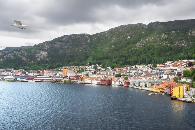 Private Transfer From Oslo To Bergen With a 2 Hour Stop - Scenic Route and Highlights