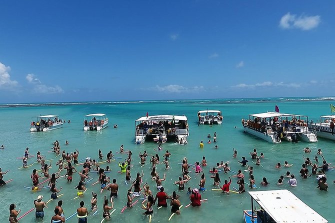 Private Transfer From Recife Airport to Maragogi - Drop-off and Pickup Information
