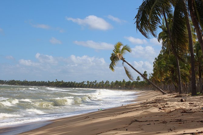 Private Transfer From RECIFE Airport to Serrambi by RECIFE TRANSLADO - Destination Options and Transfers