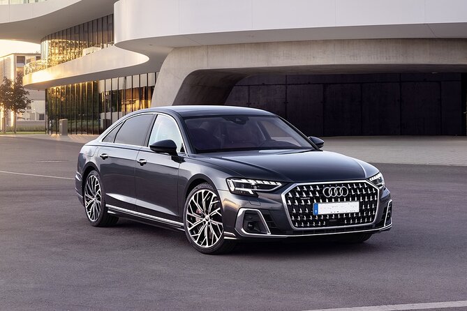 Private Transfer: Genoa, Savona or Portofino to GOA Airport by Luxury Vehicle - Transfer Details