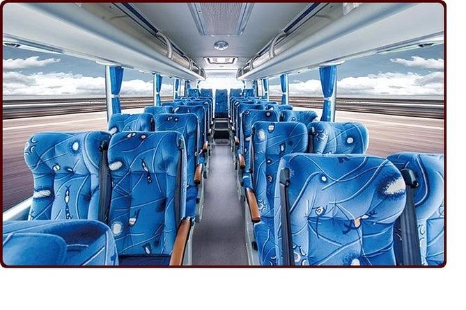 Private Transfer Montego Bay Airport - Runaway Bay - Overview and Services