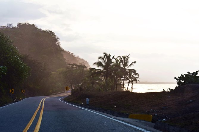 Private Transfer Service: Palomino to Santa Marta - Service Details