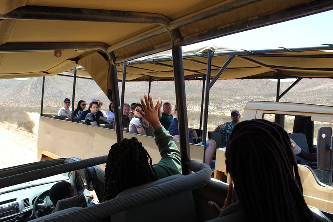 Private Transfer to Safari Big 5 at Aquila From Cape Town Excluding Entry Fees - Pricing and Booking Information
