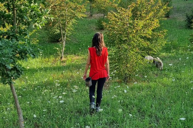 Private Truffle Hunting With Tasting : Become a Truffle Hunter Foa a Day! - Additional Information