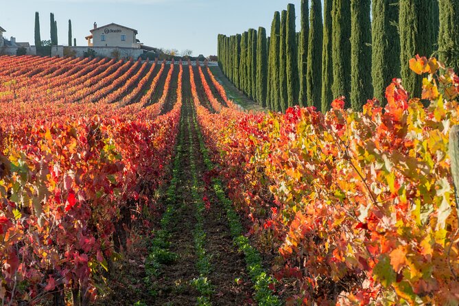 Private Umbria Wine Day Trip From Assisi  - Perugia - Customer Reviews