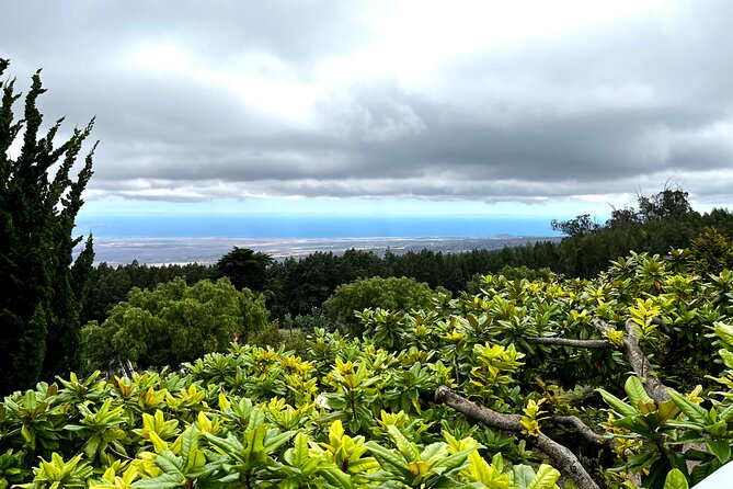 Private Upcountry Farm Tour on Maui - Booking Information