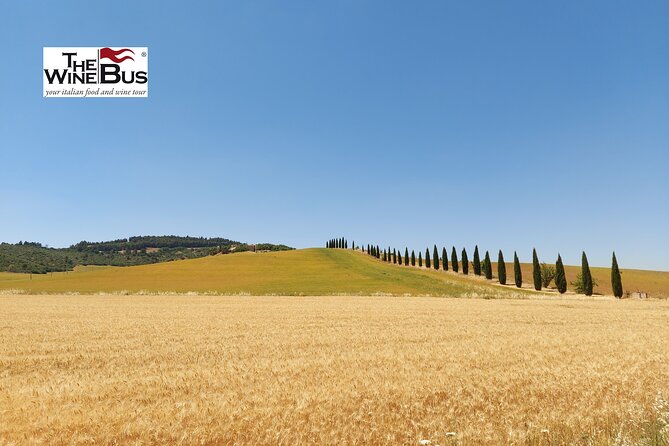 Private Vulture Wine Tour From MATERA With Sommelier - Customer Reviews