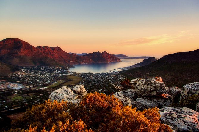 Private Walking Food Tour in the Mother City CBD - Cancellation Policy