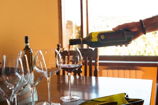 Private Wine & Evo Oil Tasting With Vegetarian Meal - Tasting Experience