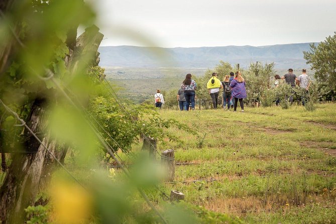 Private Wine Tour - Calamuchita - Customer Experience