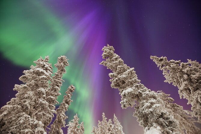Private Yukon Aurora Viewing - What to Expect During Your Private Yukon Aurora Viewing