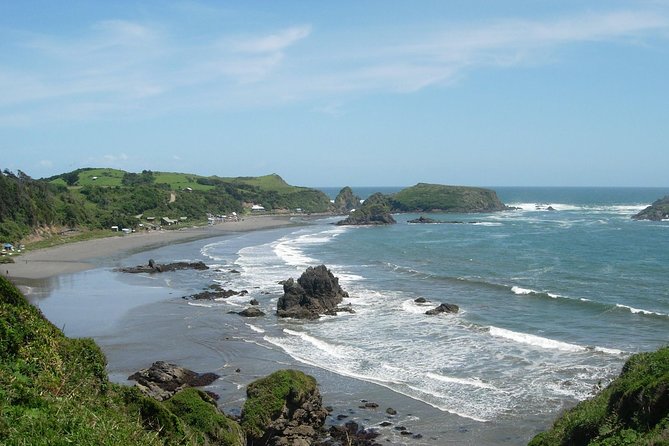 Puerto Montt: Full Day Chiloe Island Visiting Penguins in Puñihuil - Traveler Reviews