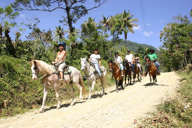 Puerto Plata: Mountain Half Day Horseback Riding - Pick-up Information