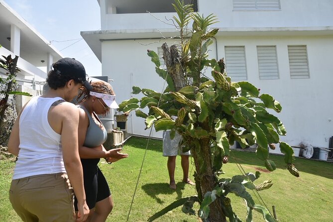 Puerto Ricos Agritourism Tour - Tour Highlights
