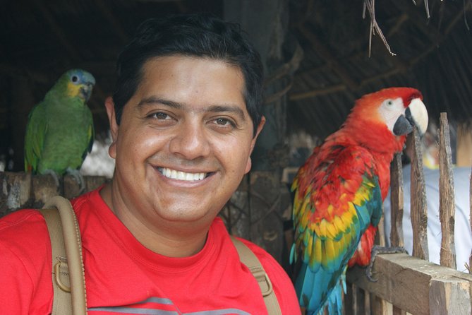 Puyo Jungle Tour in 1 Day - Visitor Reviews and Ratings