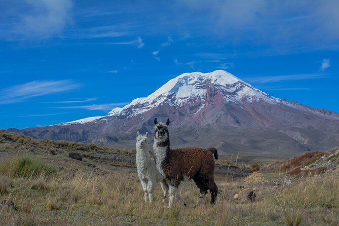 Quito to Cuenca 4 or 5-Day Tour With Cotopaxi, Quilotoa, Baños and Chimborazo - Pricing and Inclusions