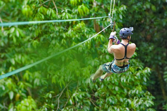 Rainforest Canopy Adventure From Vieux Fort or North Island, St Lucia - The Sum Up