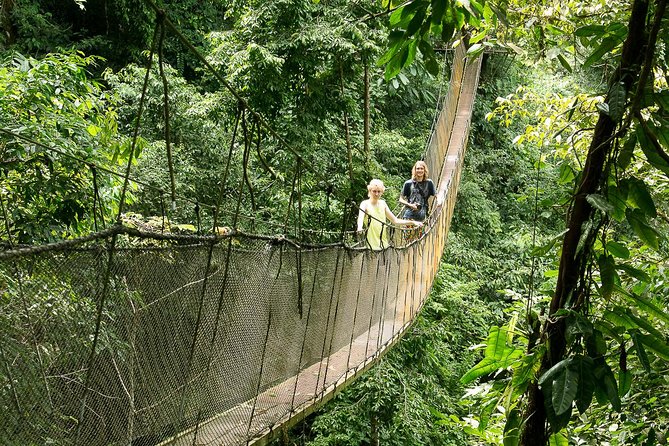 Rainmaker Park Hanging Bridges & Waterfalls Tour With Jade Tours - Tour Details and Duration