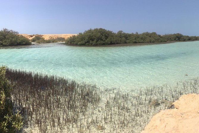 Ras Mohammed National Park Private Guided Trip  - Sharm El Sheikh - Pricing and Booking Details