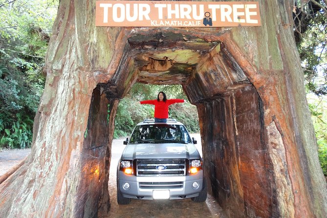 Redwood National Park Tour 2-Day Private Tour Package Hotel Included - Tour Duration and Pickup Information