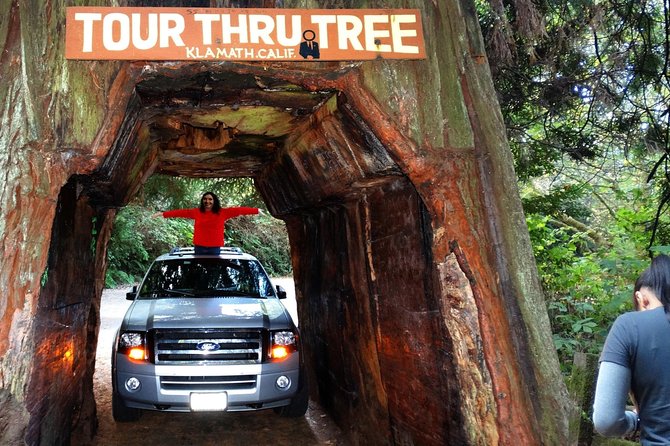 Redwood National Park Tour 3-Day Private Tour Package Hotel Included - Itinerary Highlights