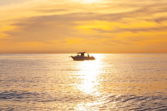 Reef Fishing Experience From Portimao - Good To Know