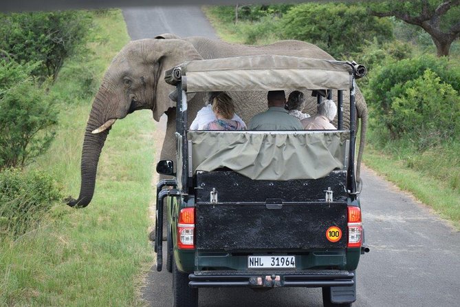 Richards Bay Shore Excursion: Small Group Hluhluwe & St Lucia - Pricing and Guarantee