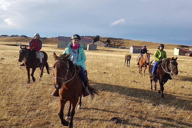 Riesco Island Ranch: A Memorable Tour Experience - Customer Feedback