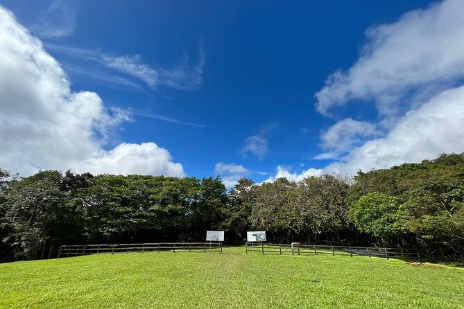 Rincon De La Vieja - Hot Springs & Nature Hike at Santa Maria - Hot Springs Experience at Santa Maria