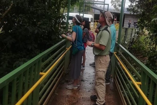 Rio Celeste Waterfall Hike - Wildlife Encounters