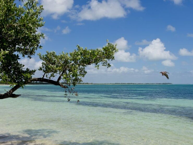 Riviera Maya: Muyil and Sian Kaʼan Private Sunset Tour - Experience Highlights