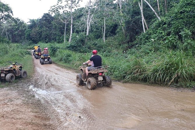Roatan Jungle Atv Adventure With Sloth,Monkey Private City Tour - Adventure Highlights
