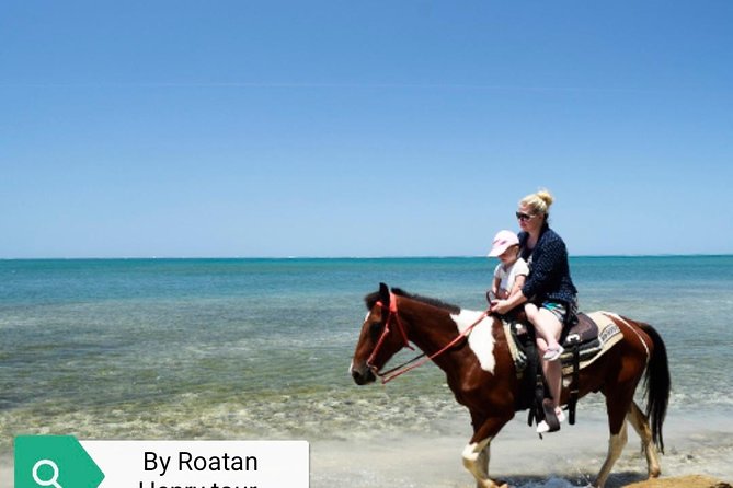 Roatan VIP Free-Style Private Tour - Customer Reviews