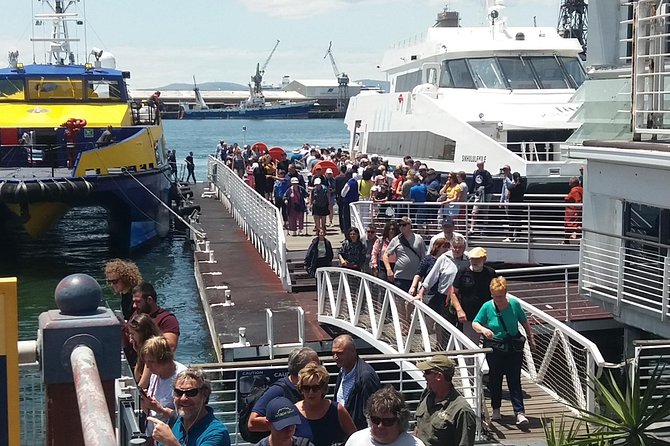 Robben Island Nelson Mandelas Prison Museum and Table Mountain Plus All Tickets - Reviews and Ratings: Real Insights From Visitors