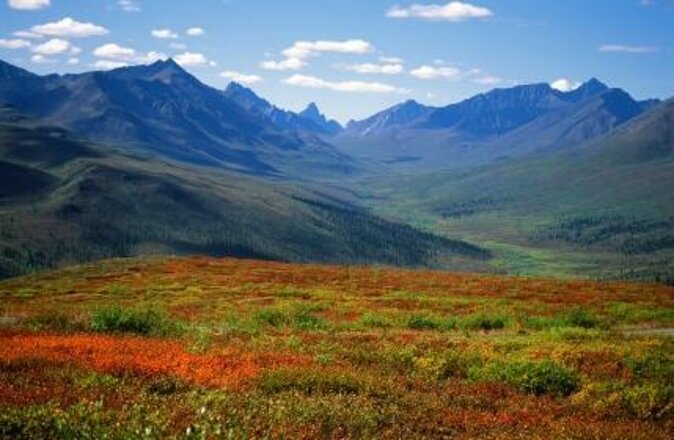 Romantic Tour in Yukon - Additional Information and Accessibility