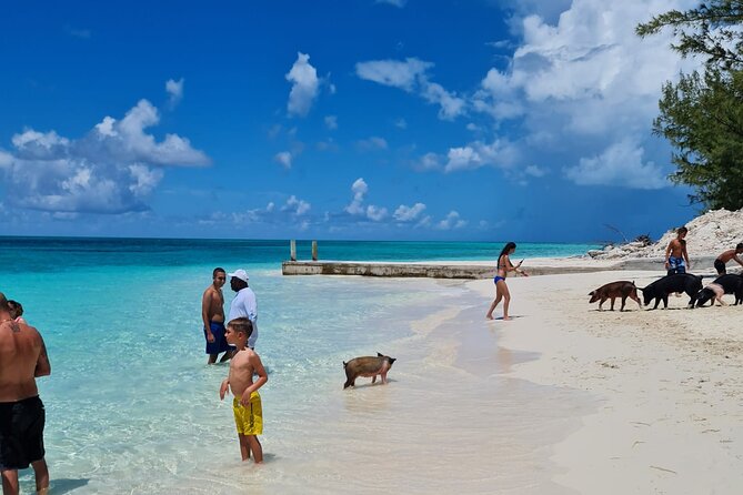Rose Island Swimming Pigs Half-Day Boat Tour With Lunch - Itinerary Details
