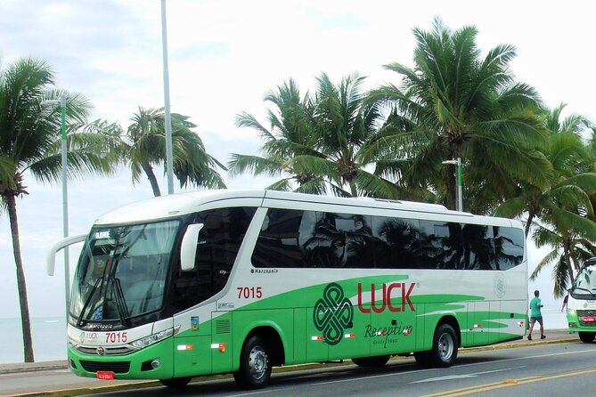 Round Trip Transfer Between Airport and Hotels in Maceió - Service Details