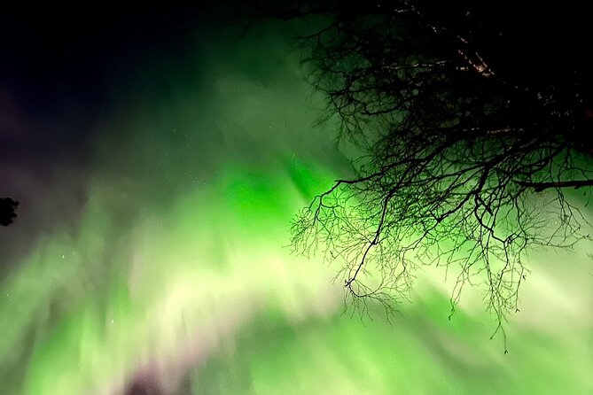 Rovaniemi Northern Lights Small-Group BBQ With Hotel Transfers - Tour Highlights