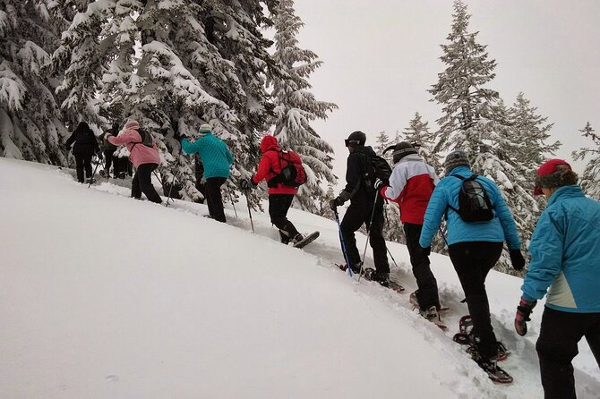 Rovaniemi Snowshoe Excursion - Exploring the Lappish Wilderness