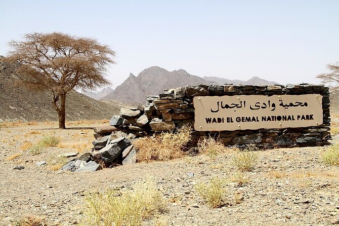Safari Day Tour To Wadi El Gamal National Park From Marsa Alam - Wildlife Encounters